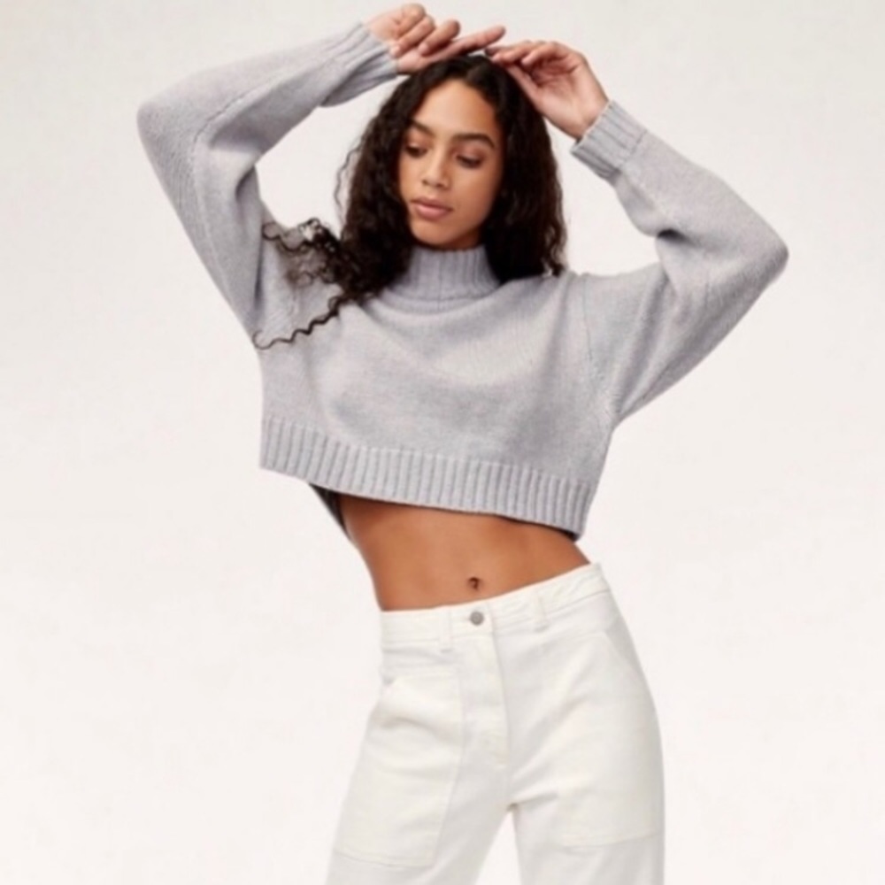Aritzia cropped sweater